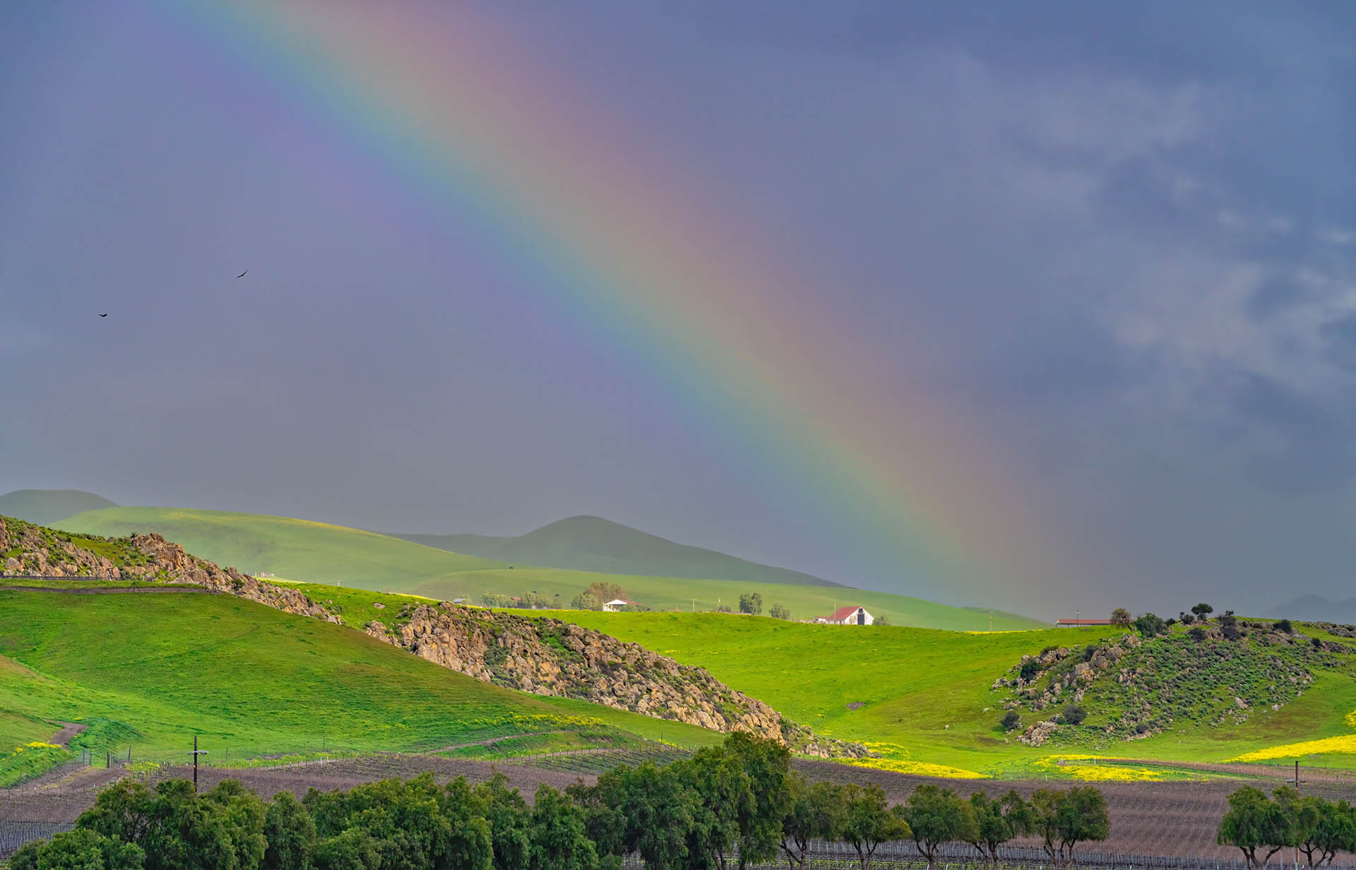 Hollister landscape - rainbow over hills